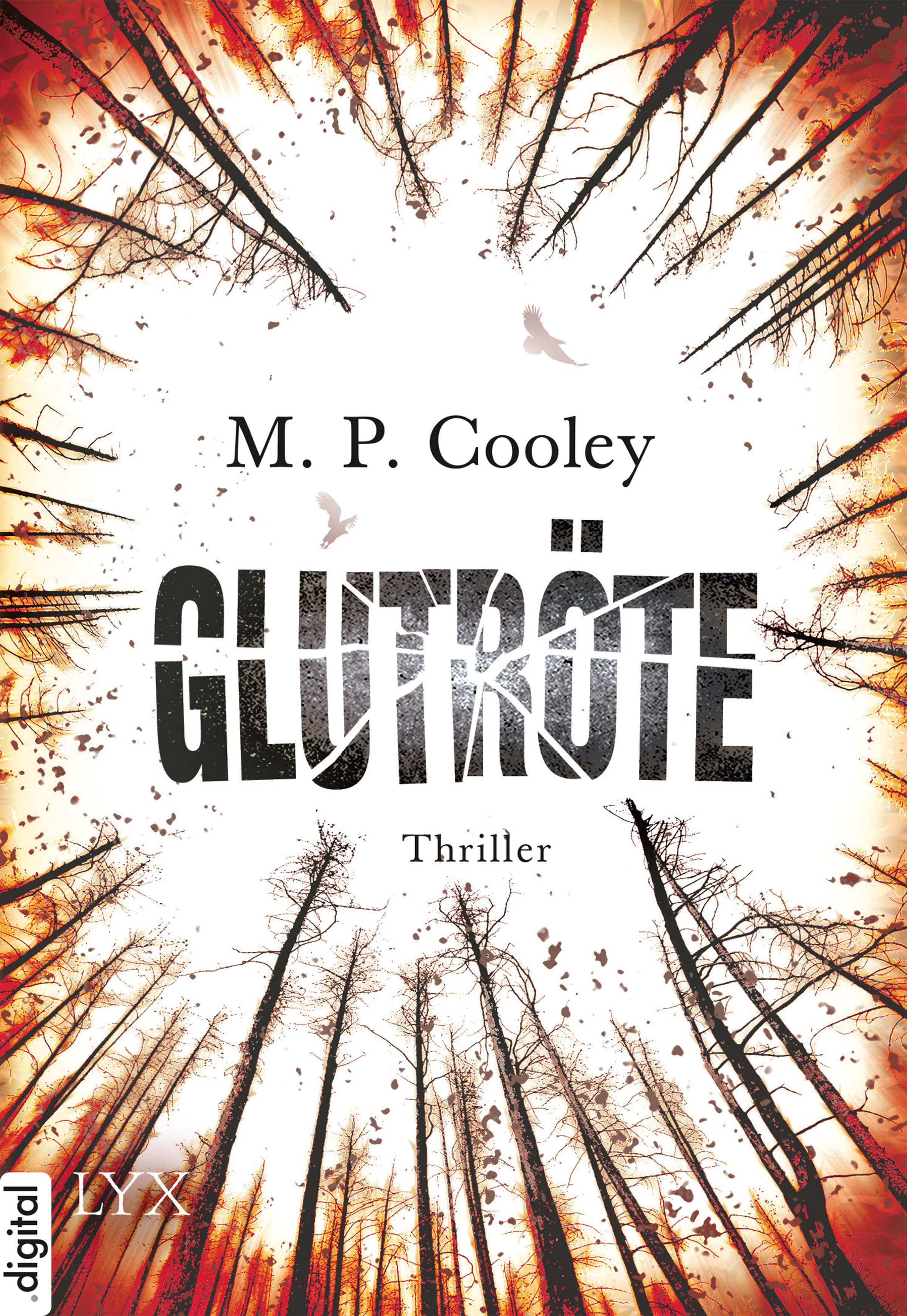 Produktbild: Glutröte (9783802599835 )
