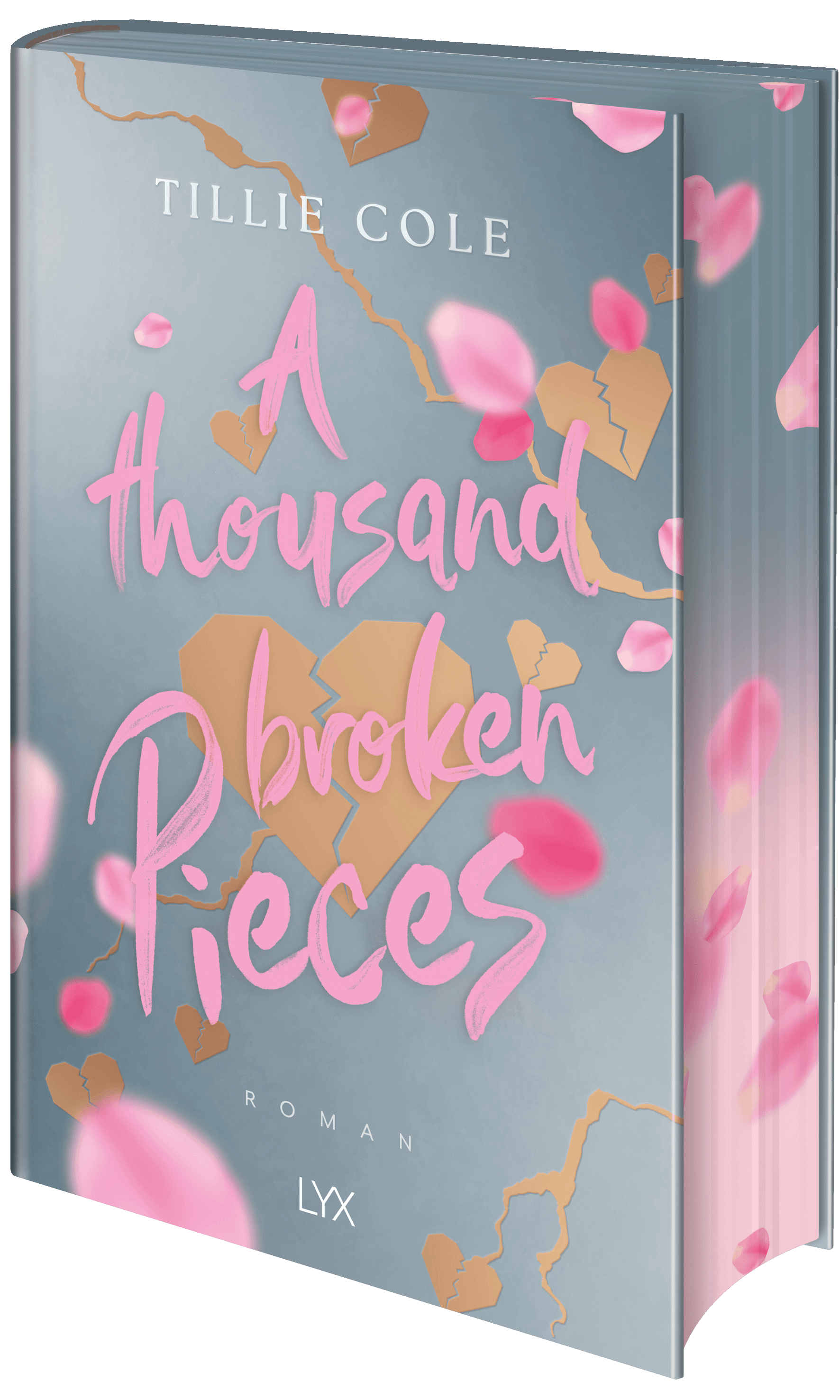 A Thousand Broken Pieces: Special Edition