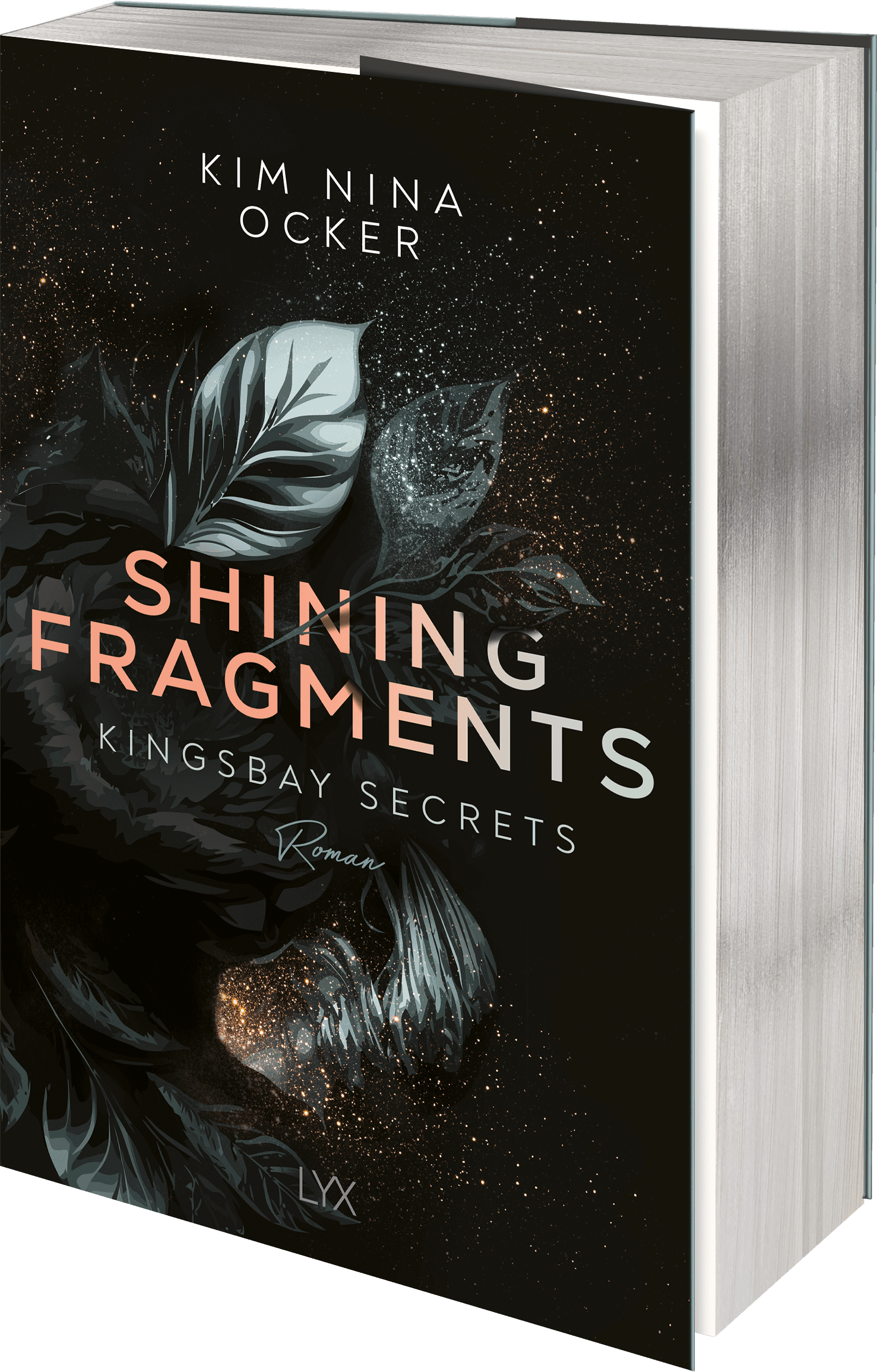 Shining Fragments