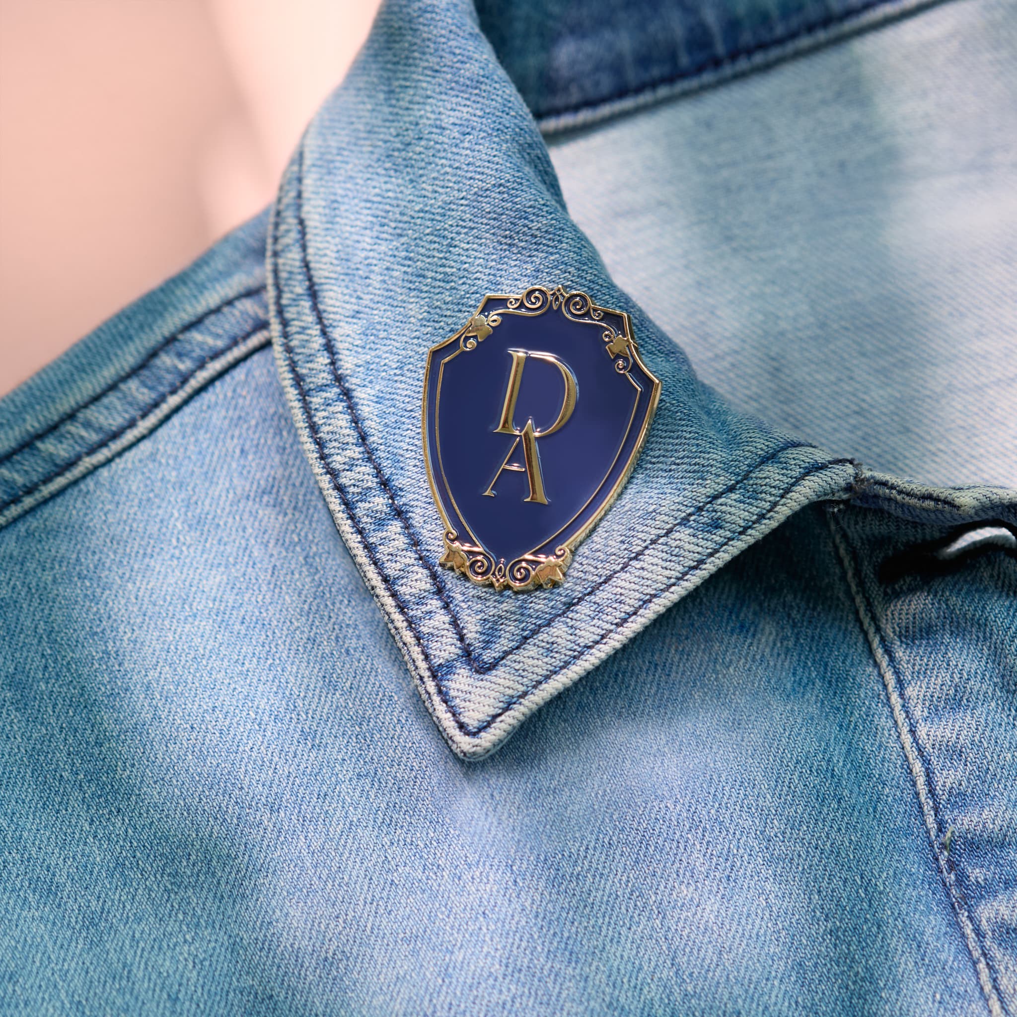 DUNBRIDGE ACADEMY Pin